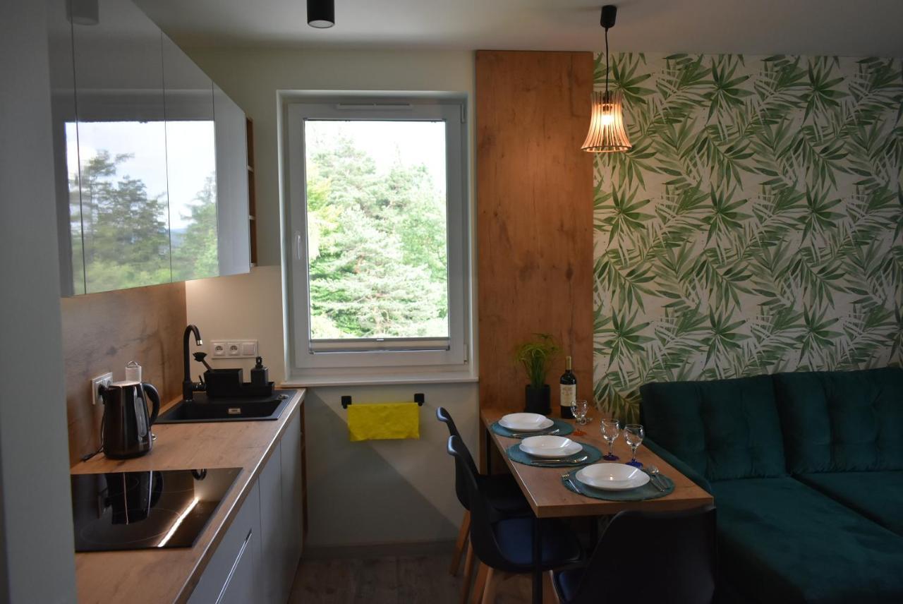 Apartament Resto Świeradów-Zdrój Εξωτερικό φωτογραφία