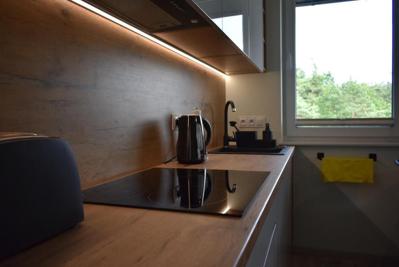 Apartament Resto Świeradów-Zdrój Εξωτερικό φωτογραφία